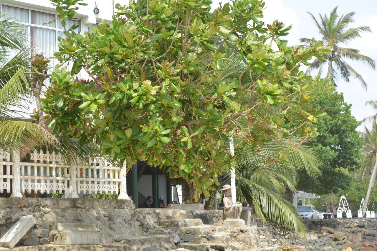 Sayurima Beach Hotel Ahangama Eksteriør bilde